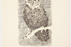 Etching, "Horned Owl", [between 1979 and 1982]. Joseph Prezament. Jewish Public Library Archives, 1291_00058.